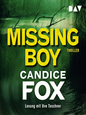 cover image of Missing Boy
